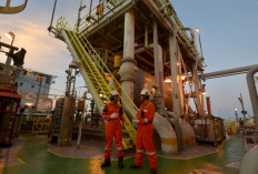 Luar Biasa! Survei Membuktikan 83,7 Persen Publik Puas dengan Kinerja Pertamina: Stabilitas Energi Jadi Kunci