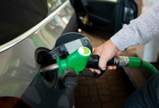Mengenal Bioetanol, BBM Baru Pengganti Pertalite yang Mulai Dijual di SPBU