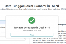 2 Link Resmi Cek Desil Kemensos Langsung dari HP, Cuma Login Pakai NIK KTP! 