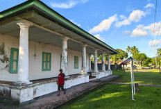 Cinta Alwi