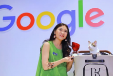 3 Fakta Unik Bobby Kertanegara, Kucing Kesayangan Prabowo yang Dapat Penghargaan Google