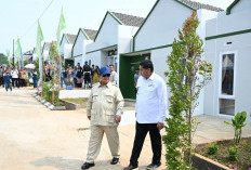 Prabowo Cari Terobosan Percepat Rumah Rakyat, Kaji India Bangun 40 Juta Unit