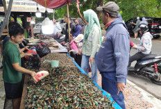 Widih! Pedagang Kerang Laku Keras Jelang Malam Tahun Baru, Laris 1 Ton 