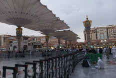 PPIH Madinah Temui Otoritas Keamanan Masjid Nabawi, Bahas Pengamanan Jemaah RI