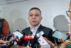 Putusan MK soal Ijazah Gibran, Dasco: Saya Belum Pelajari Lebih Lanjut