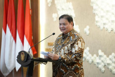 Babak Baru Negosiasi Tarif Indonesia-AS, Pemerintah Akan Siapkan Ini untuk Indonesia