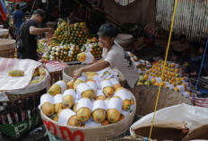 Bangkit Pascakebakaran, Pedagang Buah Pasar Induk Kramat Jati Mulai Tempati Lokasi Sementara