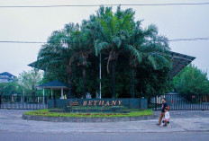 Damai Bethany