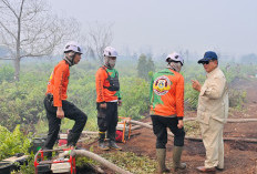 Prabowo Perintahkan Pelaku Pembakaran Hutan Ditindak Tegas