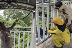 Setelah Lempengan Besi Raib, Kabel CCTV JPO Daan Mogot Dirusak