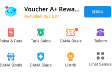 Berhasil! Kamu Mendapatkan Saldo DANA Gratis Rp350.000 dari Aplikasi Penghasil Uang Terbukti Membayar 2025, Berikut Cara Klaimnya