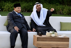 Presiden MBZ Komit Tambah Investasi di Indonesia, Momentum 50 Tahun Hubungan Diplomatik