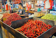 Pedasnya Bukan Main! Harga Cabai Rawit Merah Tembus Rp90 Ribu per Kg Jelang Nataru