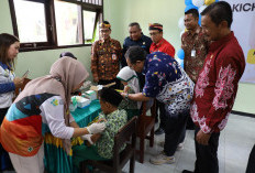 Kaltara Masuk Zona Endemik Penyakit DBD, Vaksinasi Pencegahan Paling Efektif