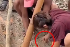 Tega! Jenazah Korban Banjir Nepal Malah Dijarah, Anting Dicuri di Tengah Tragedi