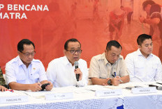 Pascabencana Sumatera, Pemerintah Cabut Izin Perkebunan Sawit dan Segel 5 Perusahaan Tambang