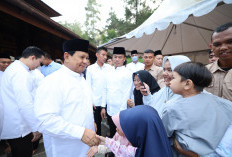 Prabowo Subianto Berkurban 145 Ekor Sapi di Idul Adha 1445 H