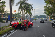 Kaget Beli Mobil Sport Berkecepatan Tinggi, Sopir Ford Mustang Tabrak Pohon di Pekanbaru