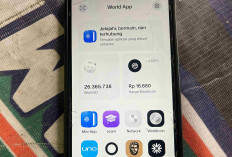 Pengakuan Pengguna Wolrd App: Cuan 196 Ribu per Bulan Usai Mendaftar 
