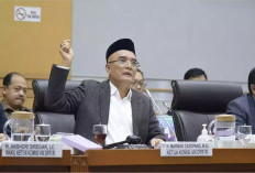 Komisi VIII Singgung Perkebunan Sawit, Minta Malaysia-Singapura Tak Sekadar Protes