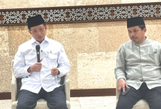 Tebak Berat Sapi Kurban Ukuran Jumbo dari Prabowo-Gibran di Masjid Istiqlal, Jenisnya Limousin