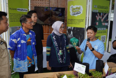 Lebih dari 18 Ribu Pengunjung Merapat di Langkah Membumi Festival 2024 dan BerAKSI: Inspirasi Nyata untuk Bumi