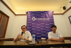 Simak Jurus Trading Gacor dari Trader Top, Belajar Forex Lebih Mudah