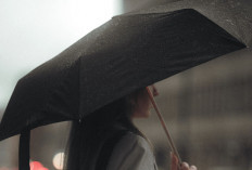 BMKG Warning! Hujan Lebat Intai Jabodetabek 22–23 Februari 2026, Tangerang Siaga