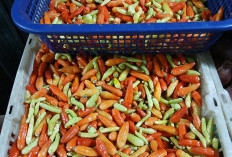 Pedas! Harga Cabai Rawit Merah di Pasar Palmerah Tembus Rp100.000 per Kilogram, Amran: Naik Sedikit Wajar