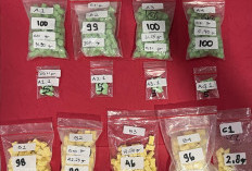 Gerebek Apartemen, Polda Metro Jaya Amankan 738 Butir Ekstasi Siap Edar