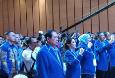 SBY Gerah Dikait-kaitkan Dalang Isu Ijazah Jokowi, Demokrat Ambil Langkah Hukum