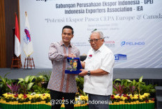 Ekspor Tumbuh Positif 66 Bulan, Anindya Bakrie Ajak Pelaku Usaha Genjot Ekspor Pasca-CEPA