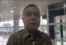 Dasco: Tim Supervisi Belum Beri Masukan soal Penulisan Ulang Sejarah