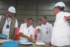BULOG Perkuat Stok Beras Papua, Dirut: Kami Targetkan Ketersediaan Beras Naik Tiga Kali Lipat