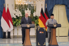 Prabowo Ajak Jerman Investasi di Hilirisasi, Kendaraan Listrik hingga Mineral Kritis Indonesia