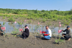 PNM Gelar Aksi Peduli, Serahkan Sumur Bor Untuk Warga Indramayu dan Tanam Mangrove Rhizophora