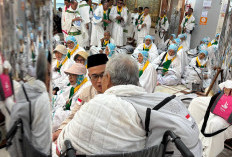 Jemaah Haji Bergerak ke Arafah, Kemenhaj Imbau Patuhi Jadwal dan Jaga Stamina