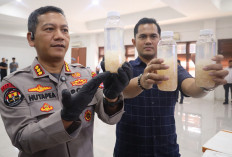 Penyelundupan 50.000 Benih Bening Lobster Senilai Rp7,5 M Digagalkan di Pelabuhan Merak