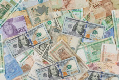 Rupiah Ambruk ke Level Rp 17.500, Ekonom Soroti Dampak Tekanan Domestik
