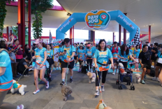 PET KINGDOM Gelar PAWJOG 9 di QBIG BSD, Ajak 800 Pawrents dan Anabul Pererat Momen Kebersamaan 