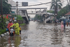 Banjir Jakarta Kian Meluas, 28 RT dan 46 Jalan Terendam Banjir hingga 95 Cm, Ini Daftar Lokasinya!