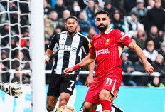 Hasil Newcastle United vs Liverpool 3-3, The Reds Nyaris Menang di Menit Akhir