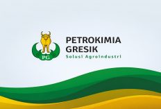 Fresh Graduate Wajib Daftar! Ini Syarat dan Jadwal Program Magang MAGENTA Petrokimia Gresik