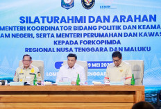 Jaga Stabilitas Politik dan Keamanan Daerah, Mendagri Minta Pemda Perkuat Forkopimda, FKUB, dan Tim TPKS