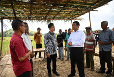 Dukung Swasembada Pangan, Wapres Gibran Serahkan Bantuan Traktor dan Pompa Air Untuk Petani di Sikka NTT