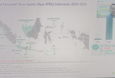 Waspada! Kasus Hantavirus Meningkat di Indonesia, Kemenkes Ungkap Risiko Mematikan