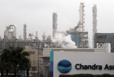 PT Chandra Asri Petrochemical Tbk Buka Lowongan Kerja Bagian Operator, Syarat dan Ketentuan di Sini