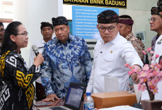 Perkuat Integrasi dan Integritas, Wamen PANRB, Kepala Staf Kepresidenan dan Wakil Ketua Ombudsman Tinjau MPP 