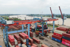 IPC TPK Jambi Catat Pertumbuhan Arus Peti Kemas 22,5% pada Maret 2026