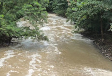Sungai Cisadane Tercemar Limbah Gudang Kimia, Air Putih Hingga Bau Minyak Tanah